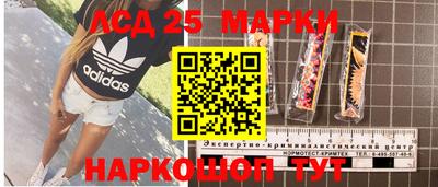 мдпв Будённовск