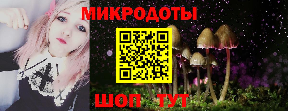 Киселёвск  Псилоцибиновые грибы мухоморы  Галлюциногенные грибы ЛСД  Вход с VPN 