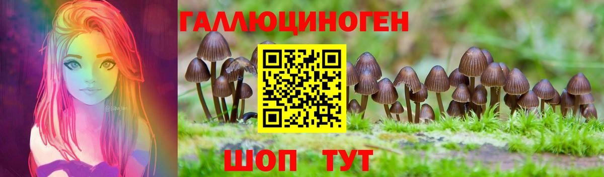 Галлюциногенные грибы Magic Shrooms Киселёвск